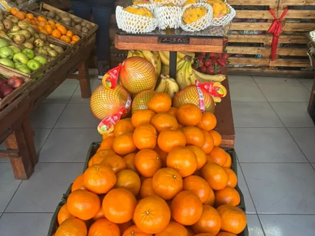 Сочни портокали, мандарини и лимони от Испания в Nat-Eco-Fruit