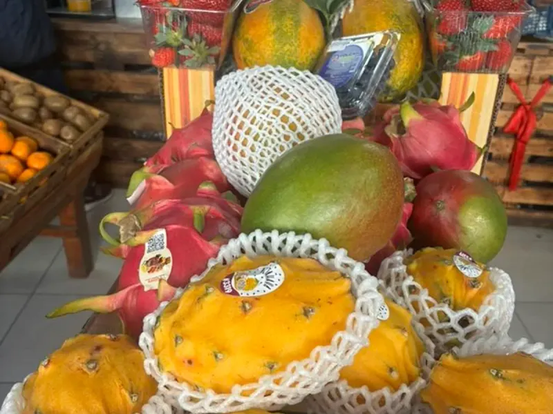 Екзотични плодове — ананас, манго и други тропически сортове в Nat-Eco-Fruit